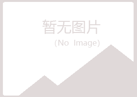 宁夏曼山金属有限公司